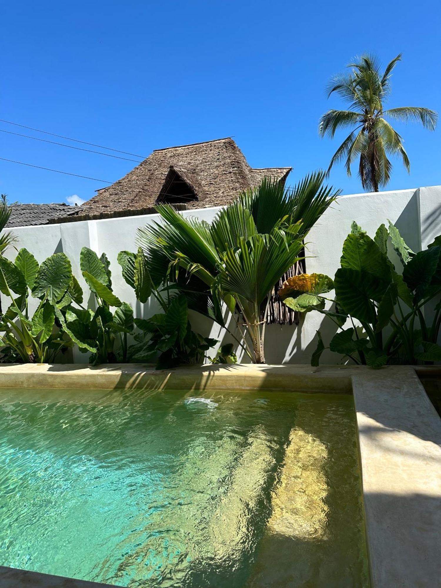 Mlango Paje Villa Boutique Esterno foto