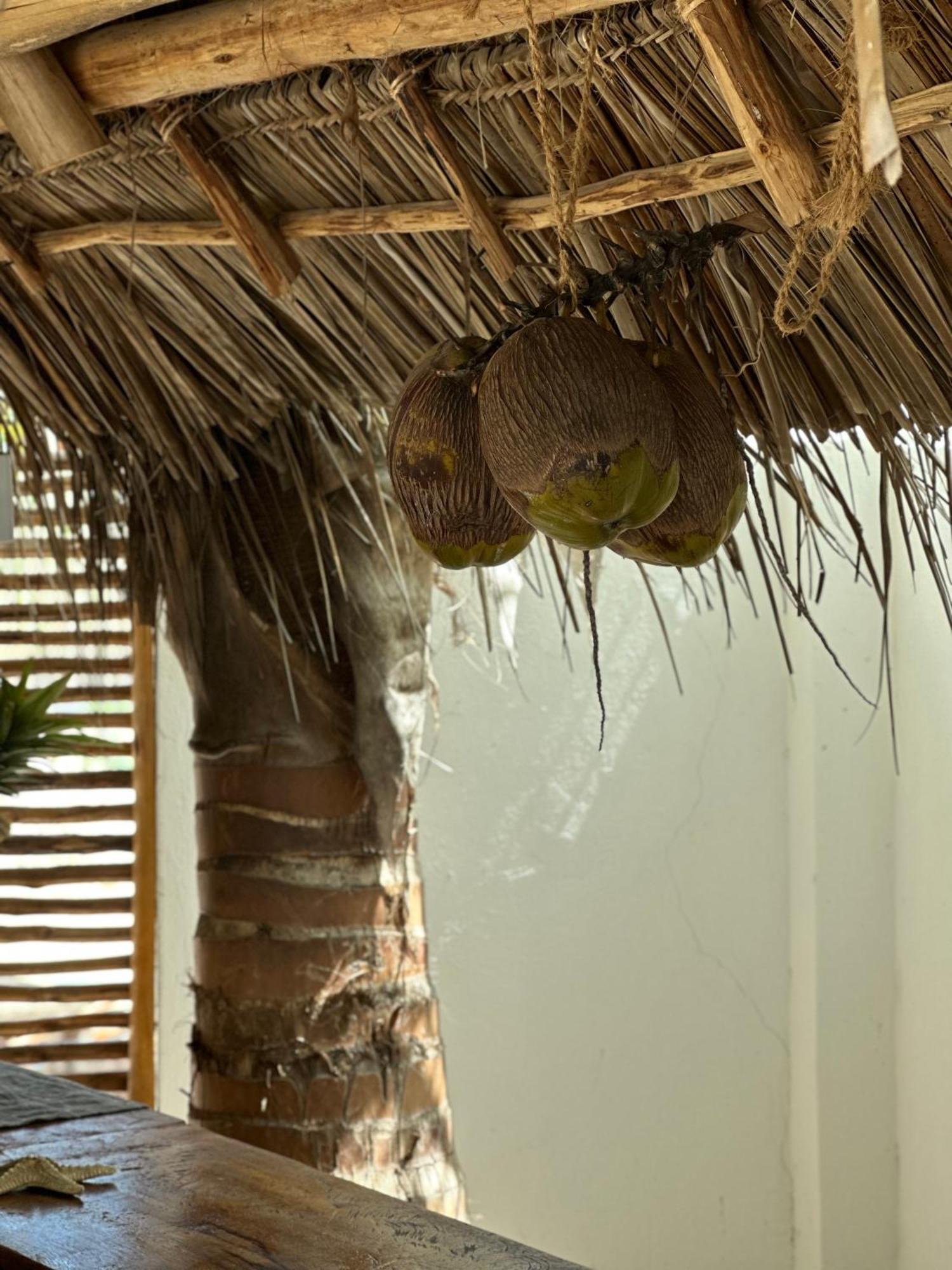 Mlango Paje Villa Boutique Esterno foto